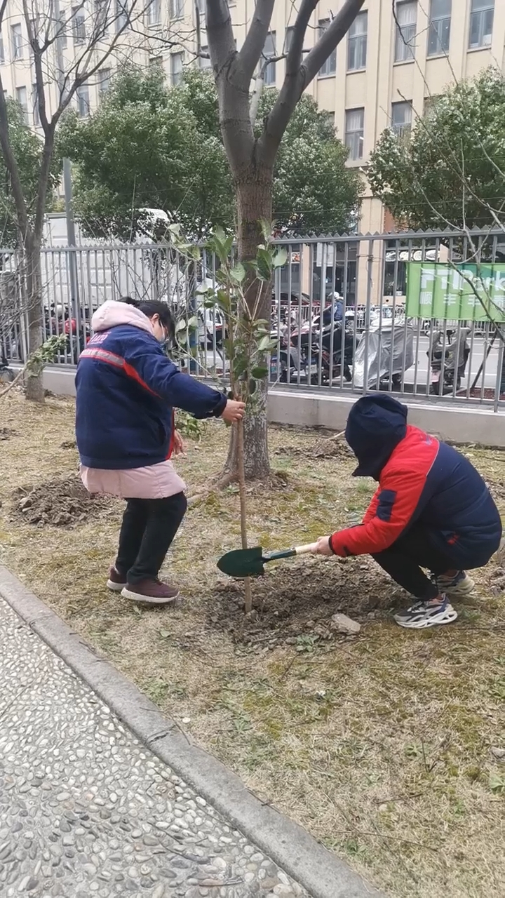 王瓊引領公司巾帼團隊，以植樹行動點亮綠色希望——佳速物(wù)流3·12播種日志(zhì)